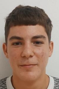 Kiril Nikolaev Videnov