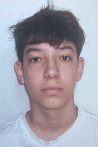 Renzo Francisco Visona