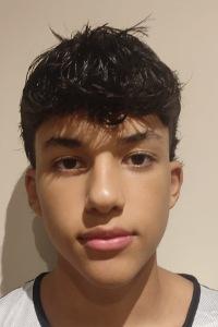 Dario Viadel