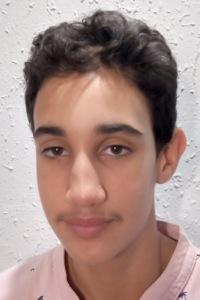 Tarek Bedjaouia
