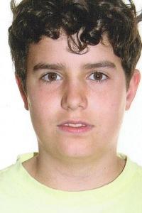 Pau Llin