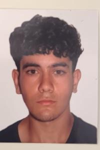 Hector Viñes