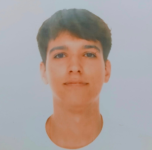 Guillermo Boluda