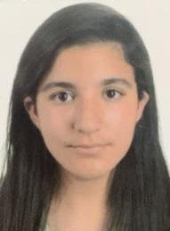 Nour Sarhani
